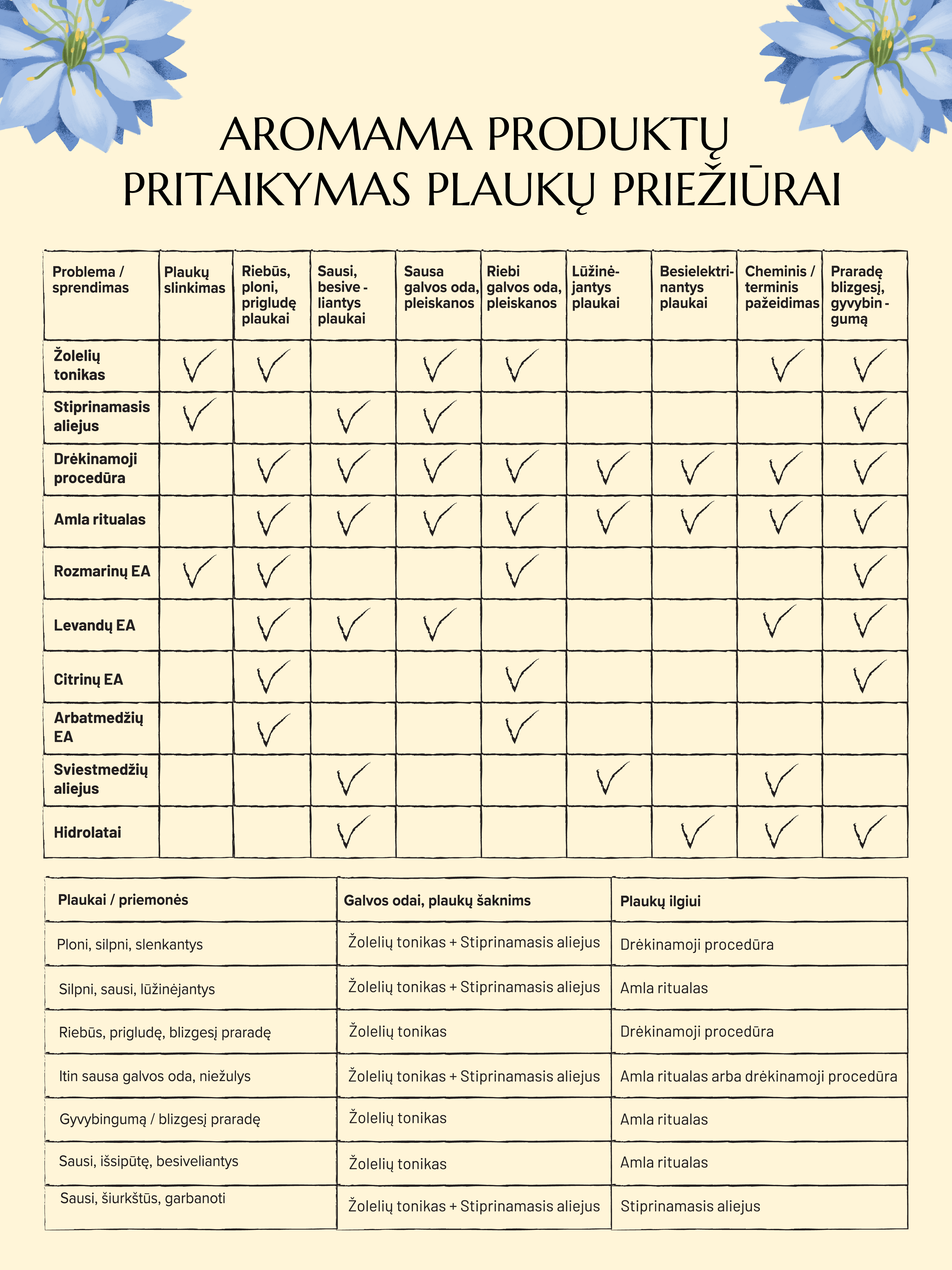 Atradimų rinkinys plaukų priežiūrai