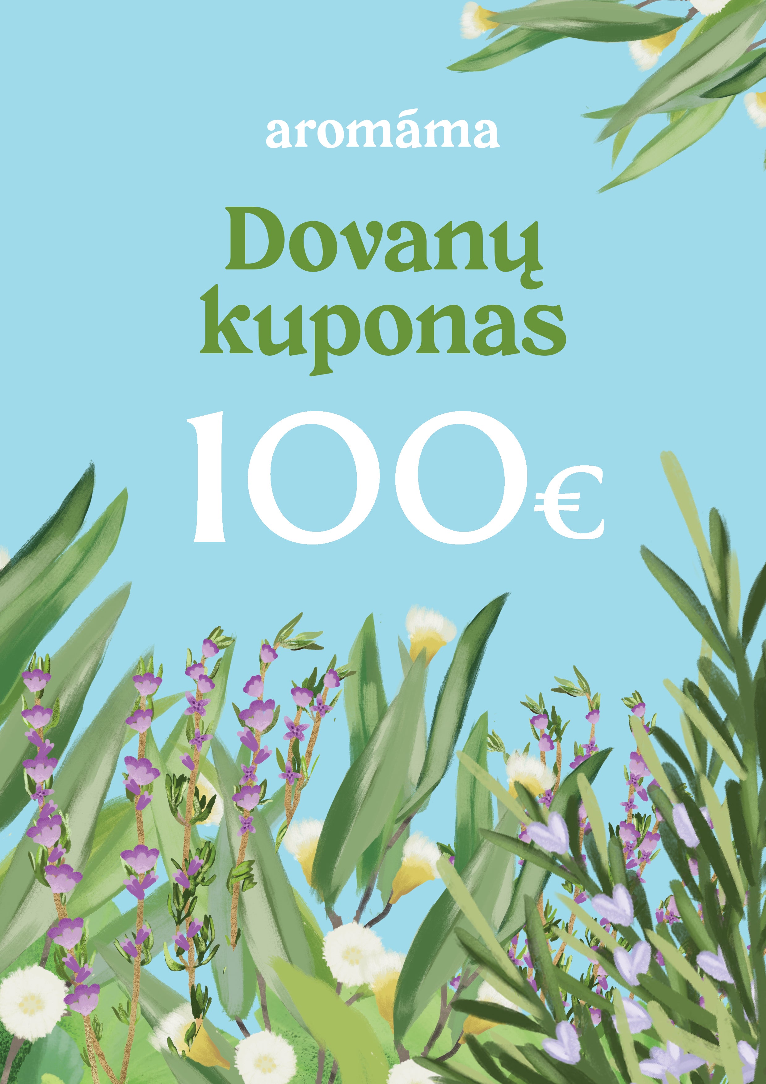 Elektroninis dovanų čekis