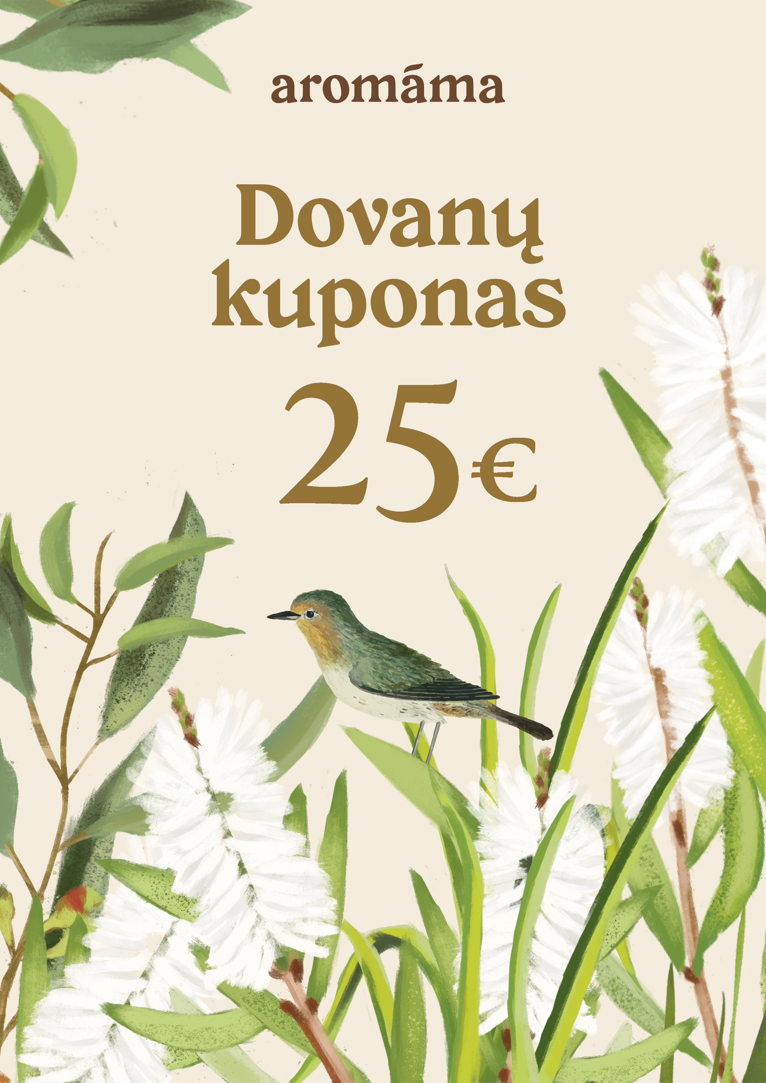 Elektroninis dovanų čekis