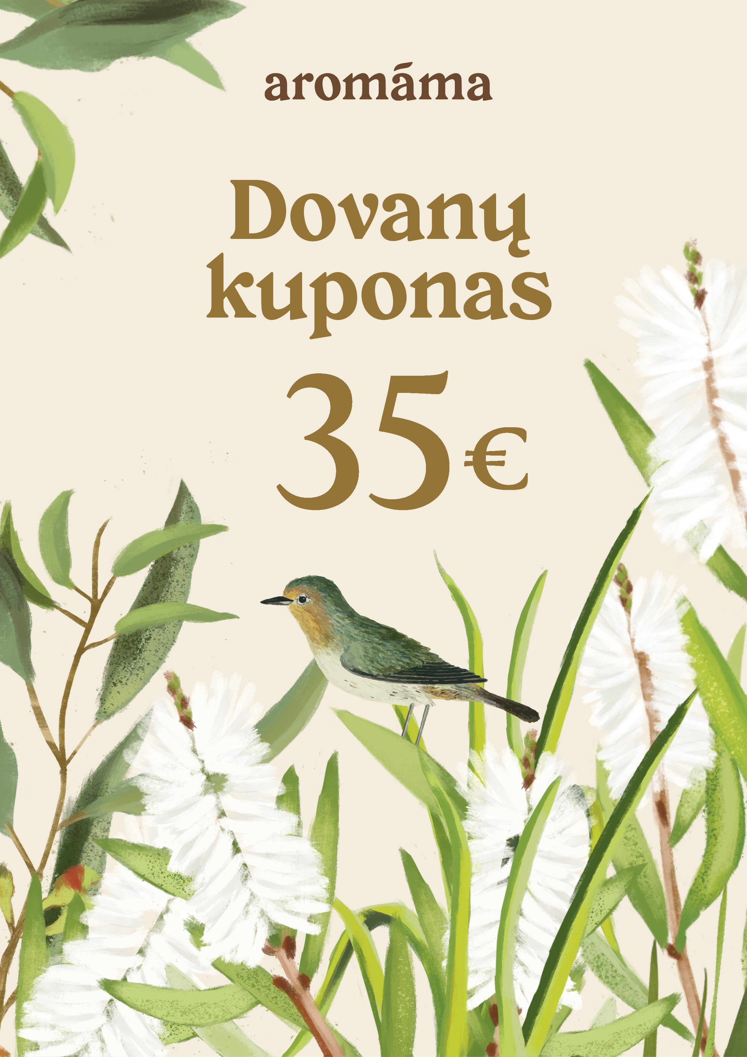 Elektroninis dovanų čekis