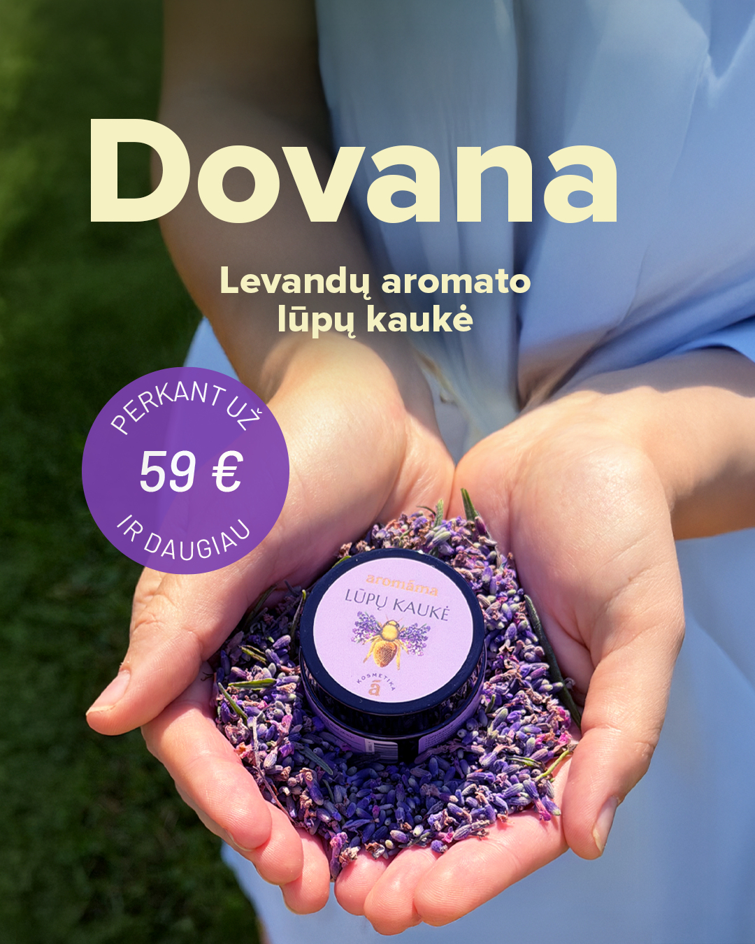 Peržiūrėti pasiūlymą