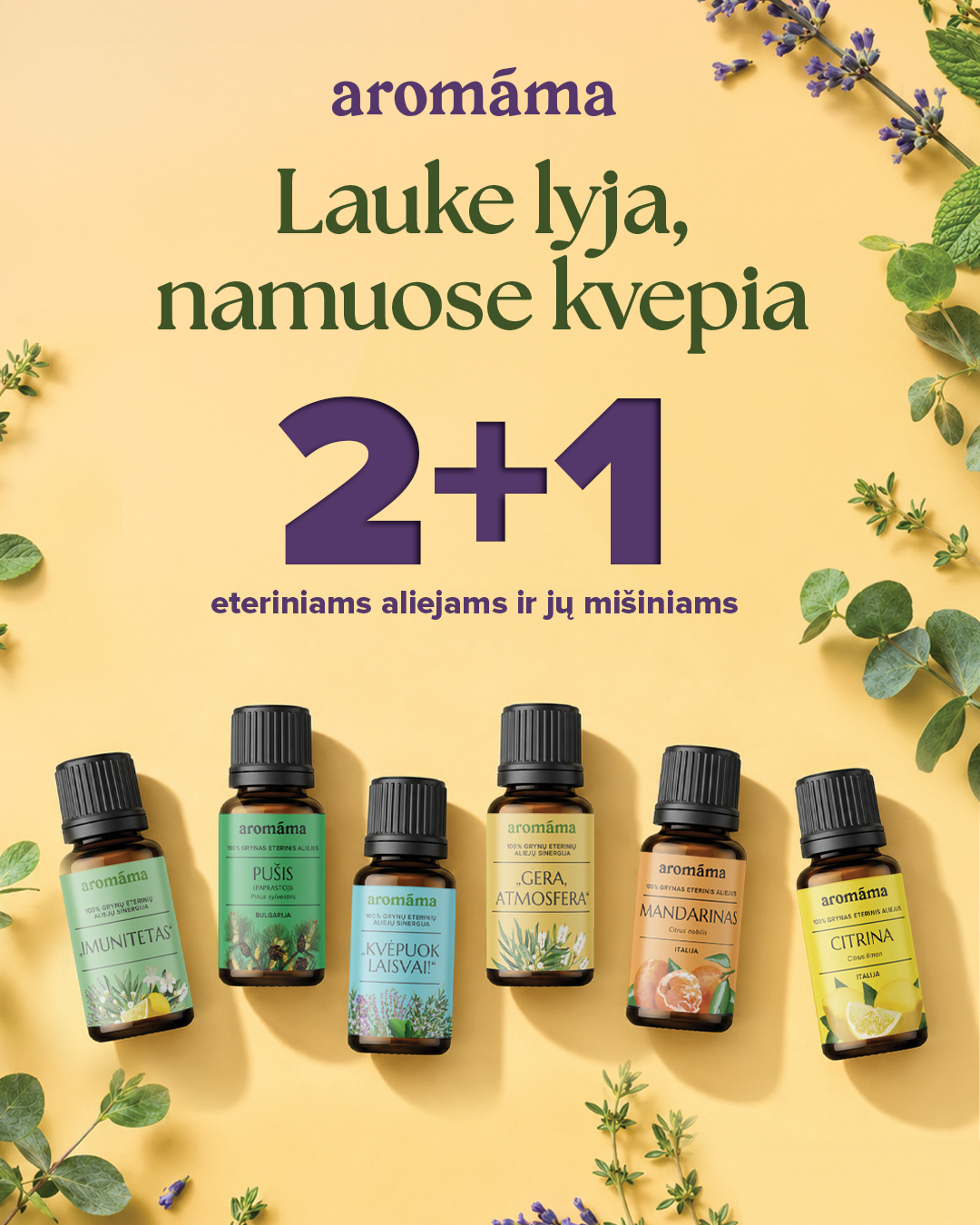 Peržiūrėti pasiūlymą