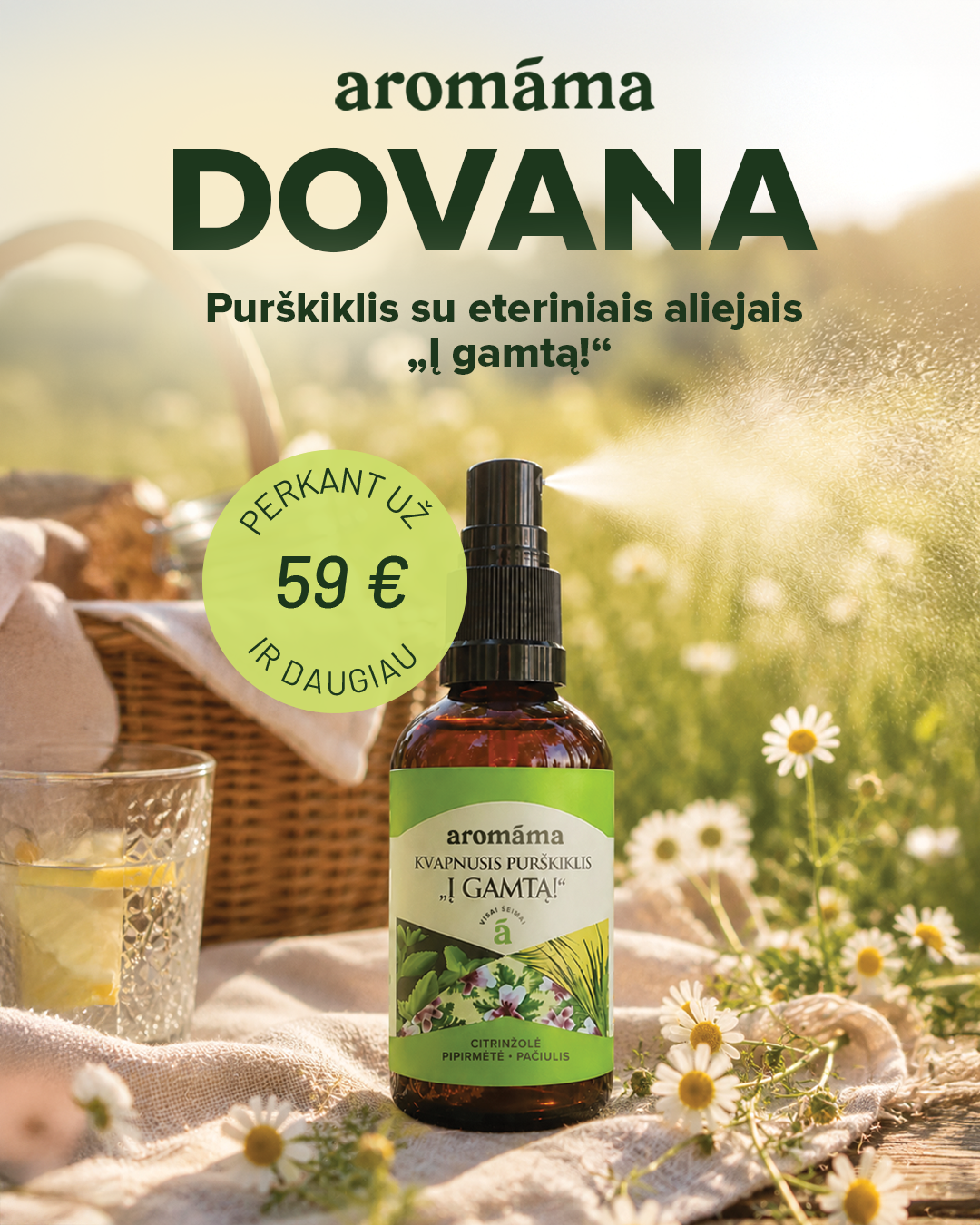 Peržiūrėti pasiūlymą