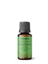 aromama arbatmedis