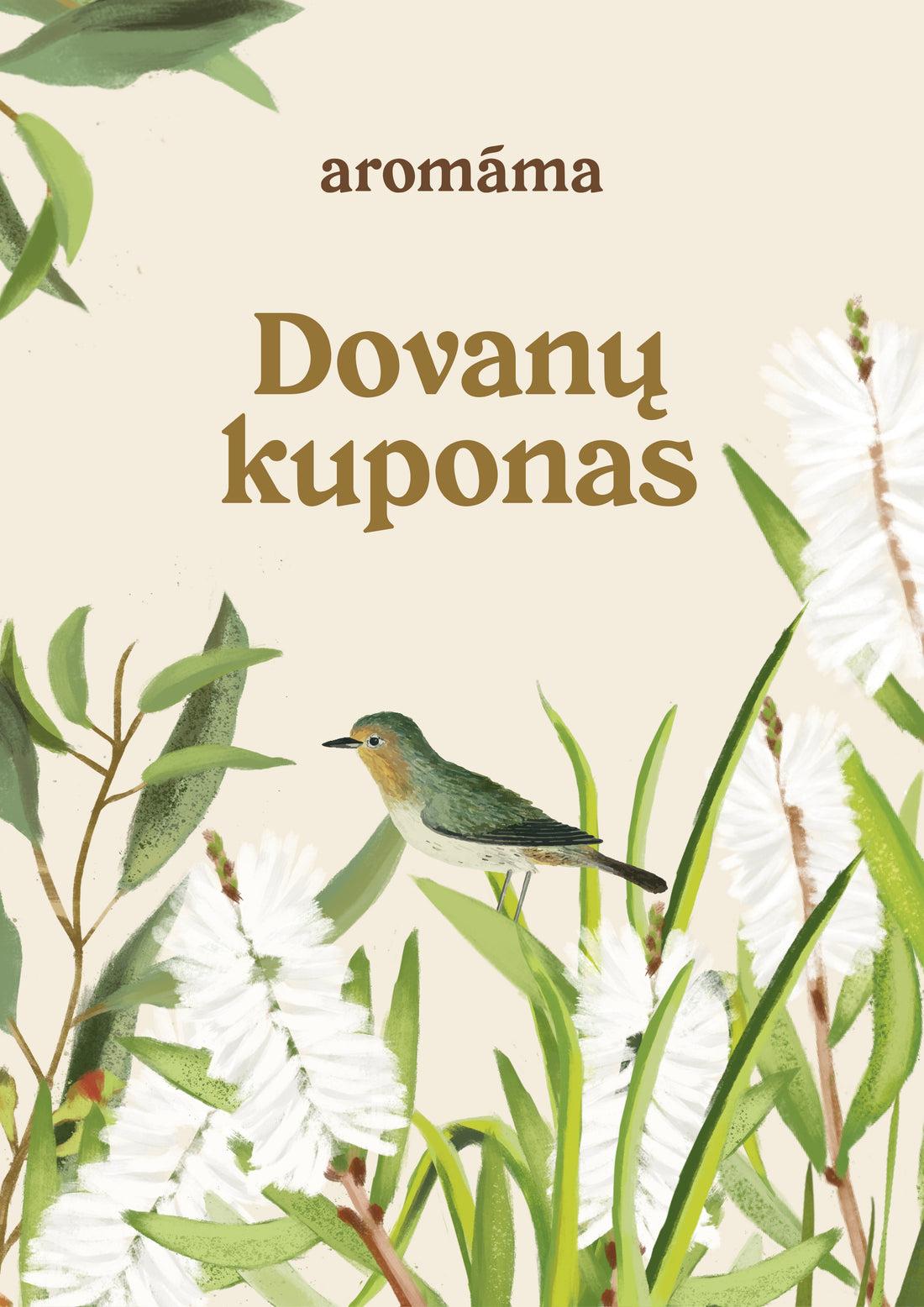 Elektroninis dovanų čekis